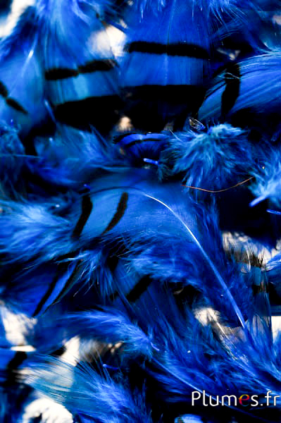 Perdrix - 3-7 cm - bleu